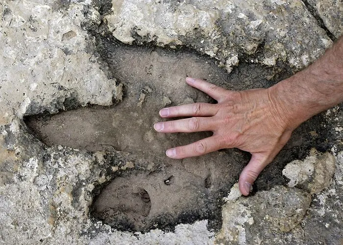 Viras Luxury Premantura