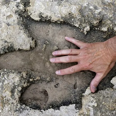 Viras Luxury Premantura