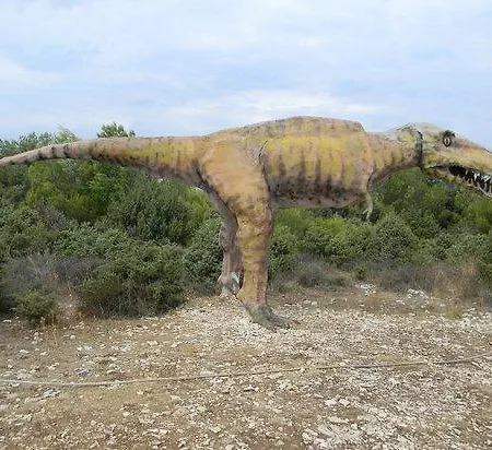 Viras Luxury * Premantura