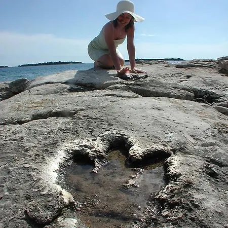 Apartment Viras Luxury *