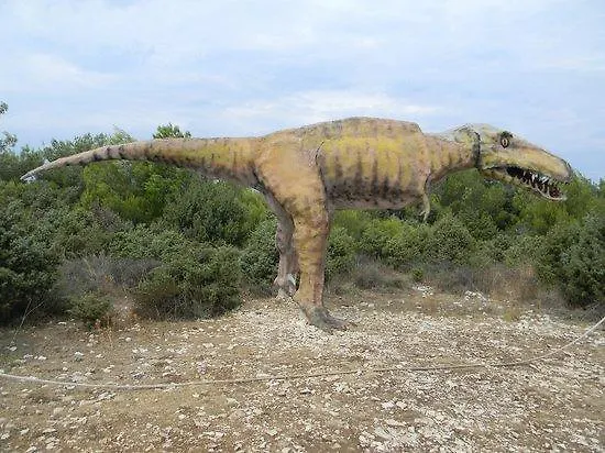 Viras Luxury * Premantura