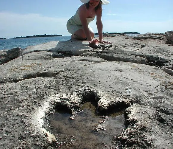 Apartmán Viras Luxury *